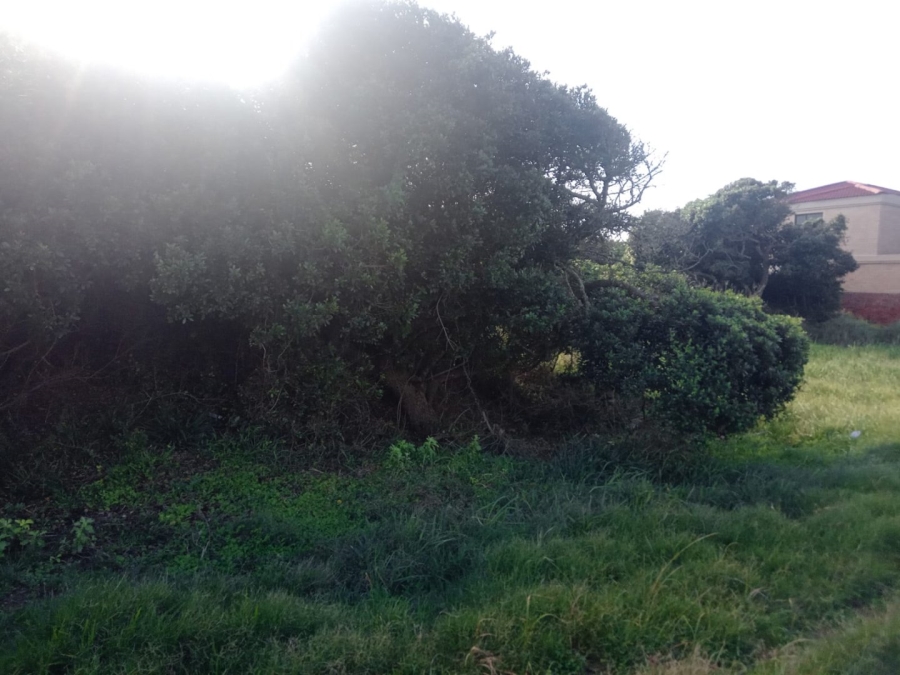 Commercial Property for Sale in Paradise Beach Eastern Cape